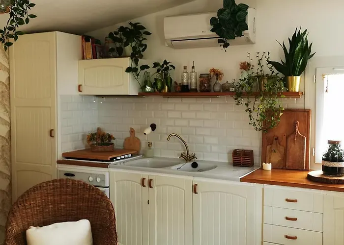 Maisonnette Au Calme Sous Les Pins Avec Jardin , Parking Et Piscine